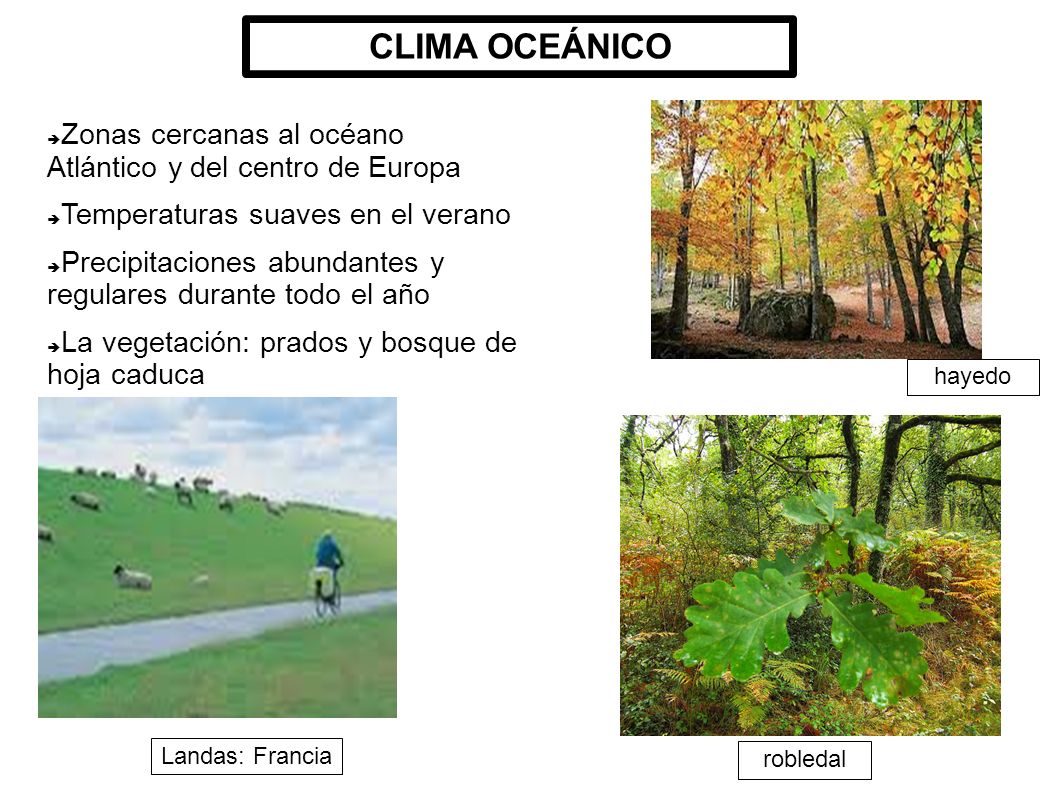 CLIMA OCEÁNICO Zonas cercanas al océano Atlántico y del centro de Europa. Temperaturas suaves en el verano.