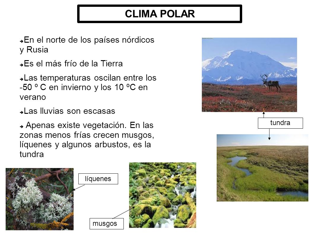 CLIMA POLAR En el norte de los países nórdicos y Rusia