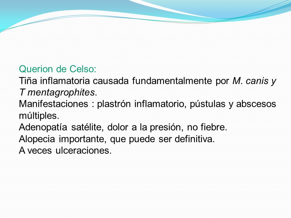 Querion de Celso: Tiña inflamatoria causada fundamentalmente por M. canis y T mentagrophites.