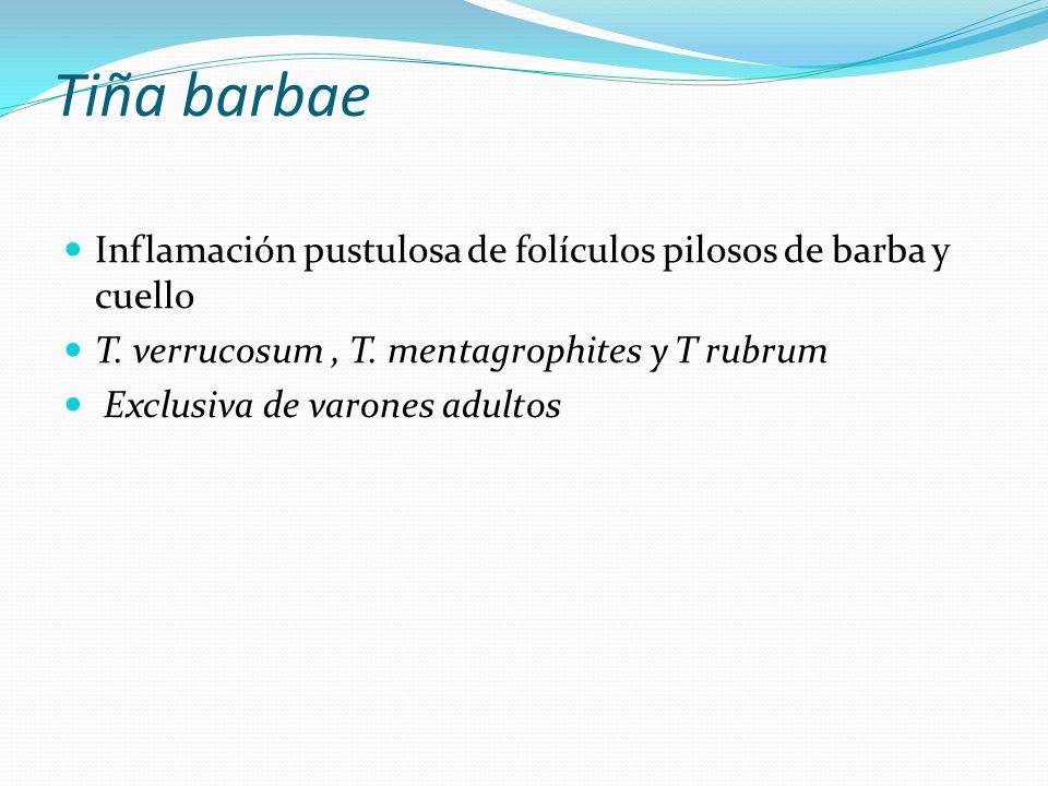 Tiña barbae Inflamación pustulosa de folículos pilosos de barba y cuello. T. verrucosum , T. mentagrophites y T rubrum.