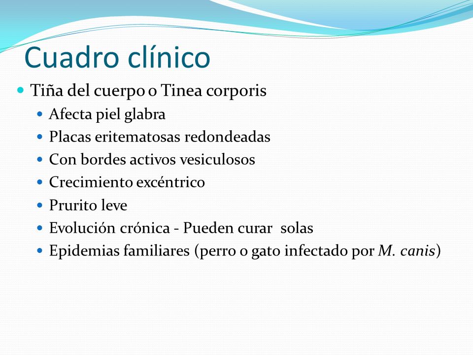 Cuadro clínico Tiña del cuerpo o Tinea corporis Afecta piel glabra