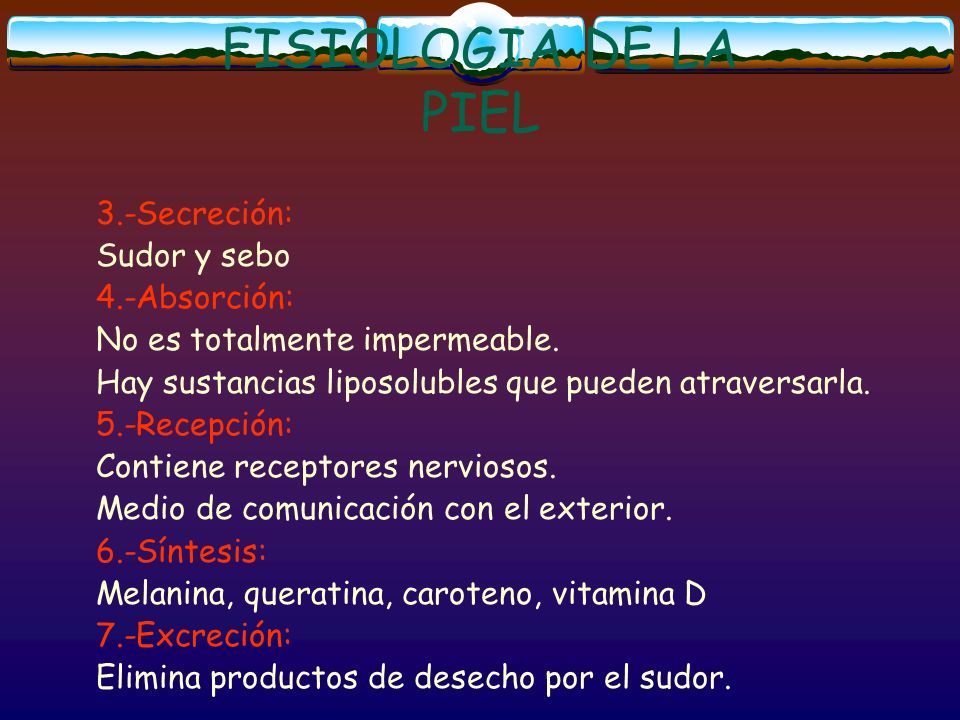 FISIOLOGIA DE LA PIEL 3.-Secreción: Sudor y sebo 4.-Absorción:
