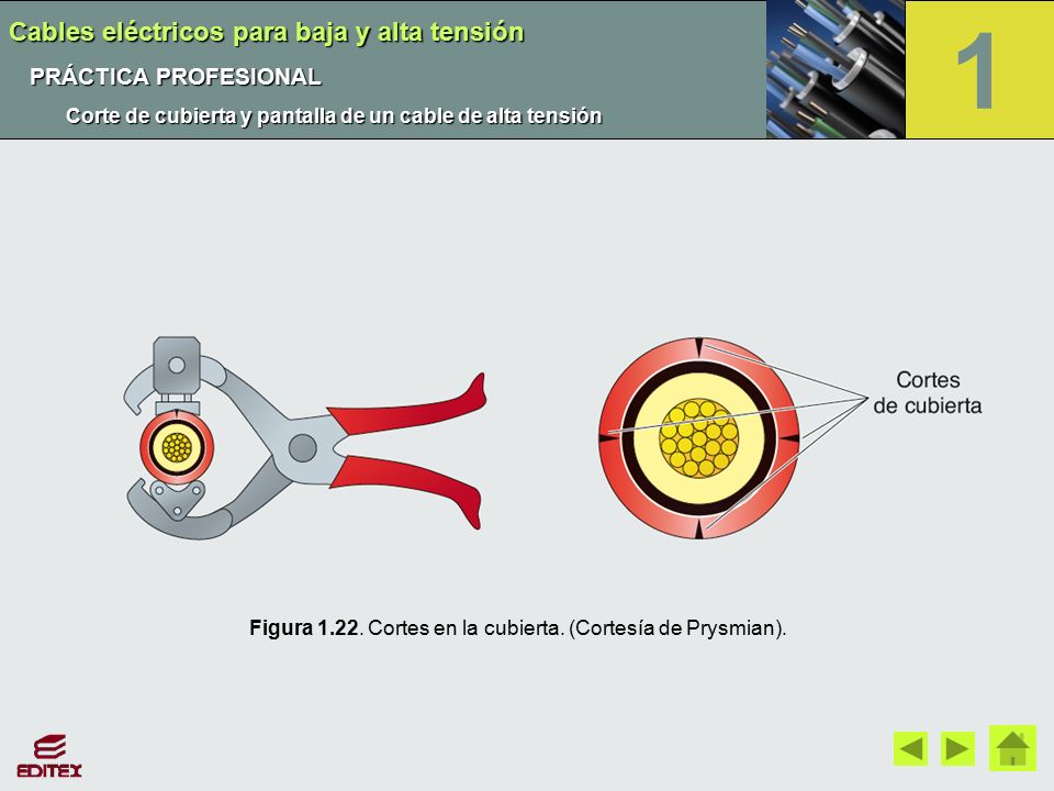 1 Cables eléctricos para baja y alta tensión PRÁCTICA PROFESIONAL
