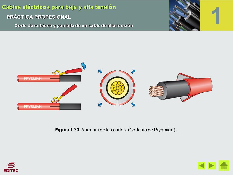 1 Cables eléctricos para baja y alta tensión PRÁCTICA PROFESIONAL