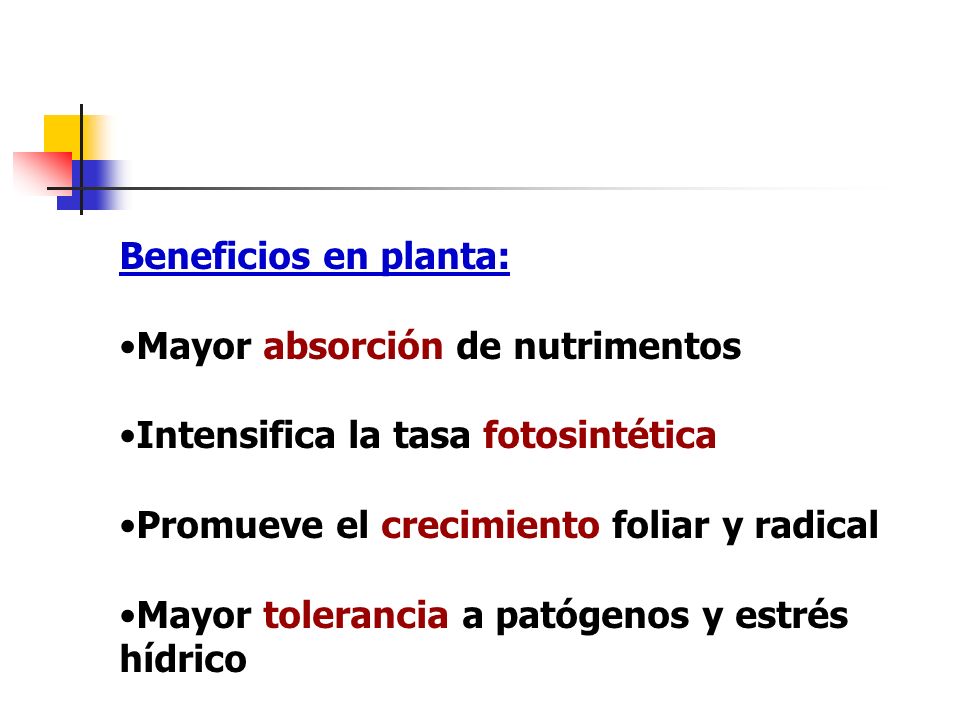 Beneficios en planta: Mayor absorción de nutrimentos. Intensifica la tasa fotosintética. Promueve el crecimiento foliar y radical.