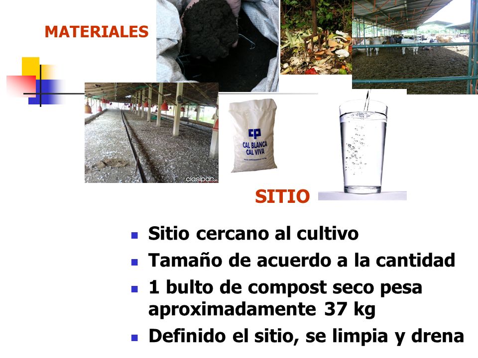 Sitio cercano al cultivo Tamaño de acuerdo a la cantidad