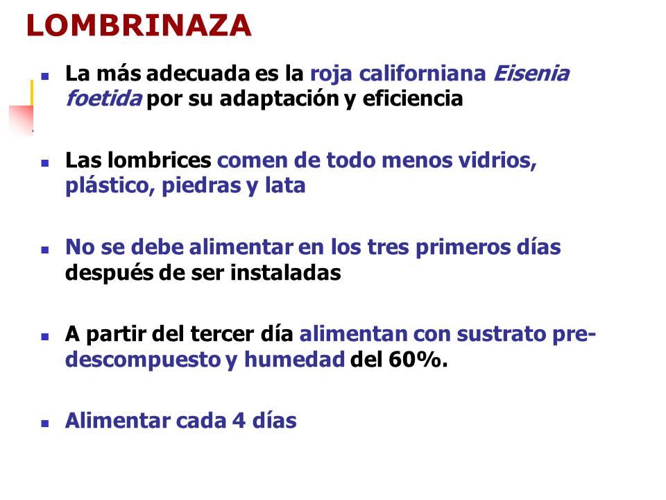LOMBRINAZA La más adecuada es la roja californiana Eisenia foetida por su adaptación y eficiencia.