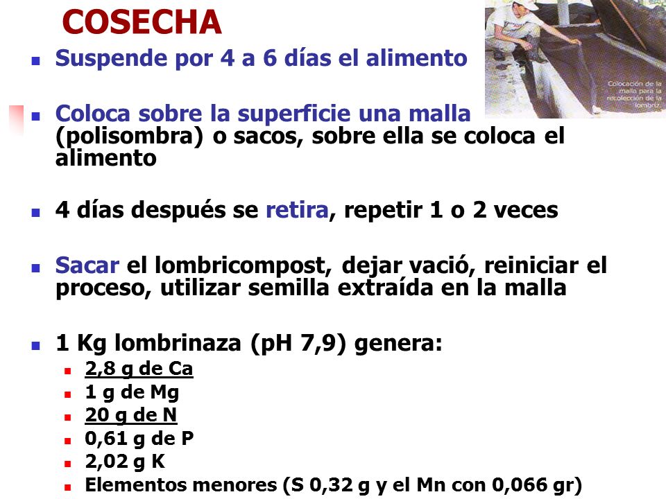 COSECHA Suspende por 4 a 6 días el alimento