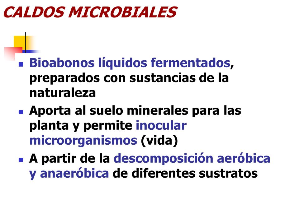 CALDOS MICROBIALES Bioabonos líquidos fermentados, preparados con sustancias de la naturaleza.