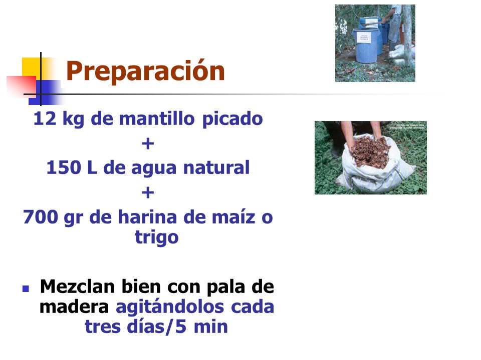 Preparación 12 kg de mantillo picado L de agua natural
