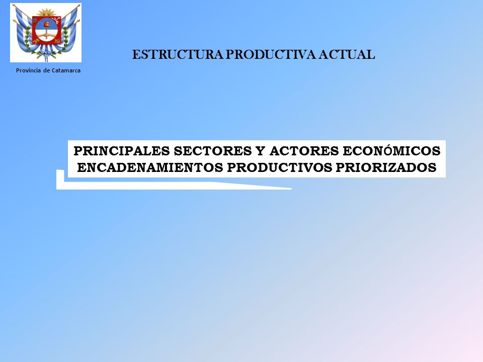 ESTRUCTURA PRODUCTIVA ACTUAL PRINCIPALES SECTORES Y ACTORES ECONÓMICOS