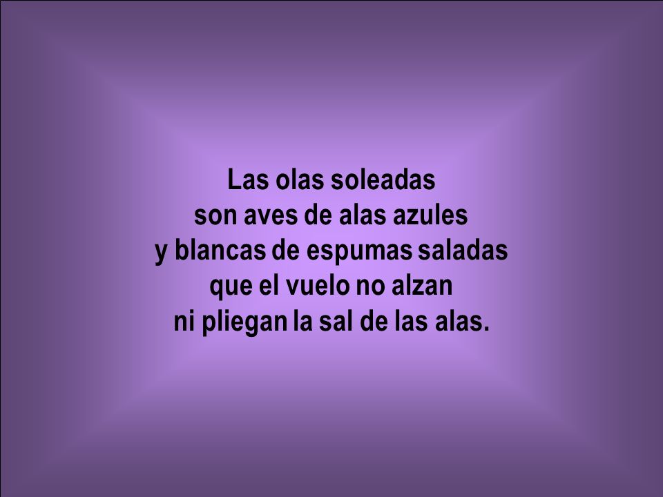 y blancas de espumas saladas ni pliegan la sal de las alas.