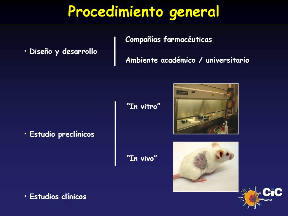 Procedimiento general