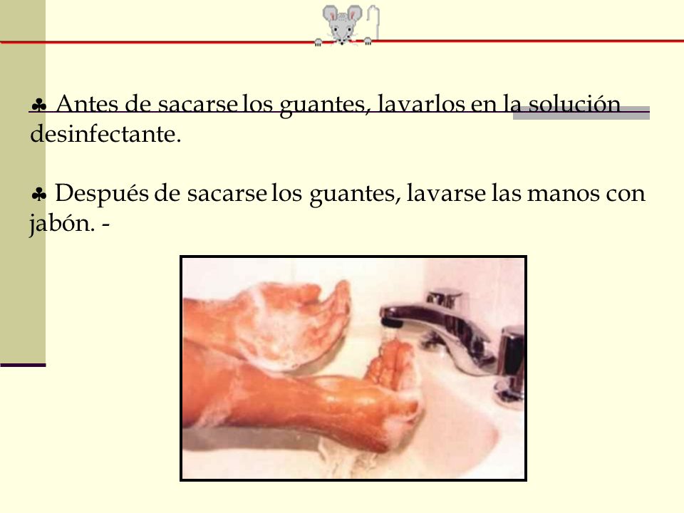 Antes de sacarse los guantes, lavarlos en la solución desinfectante.
