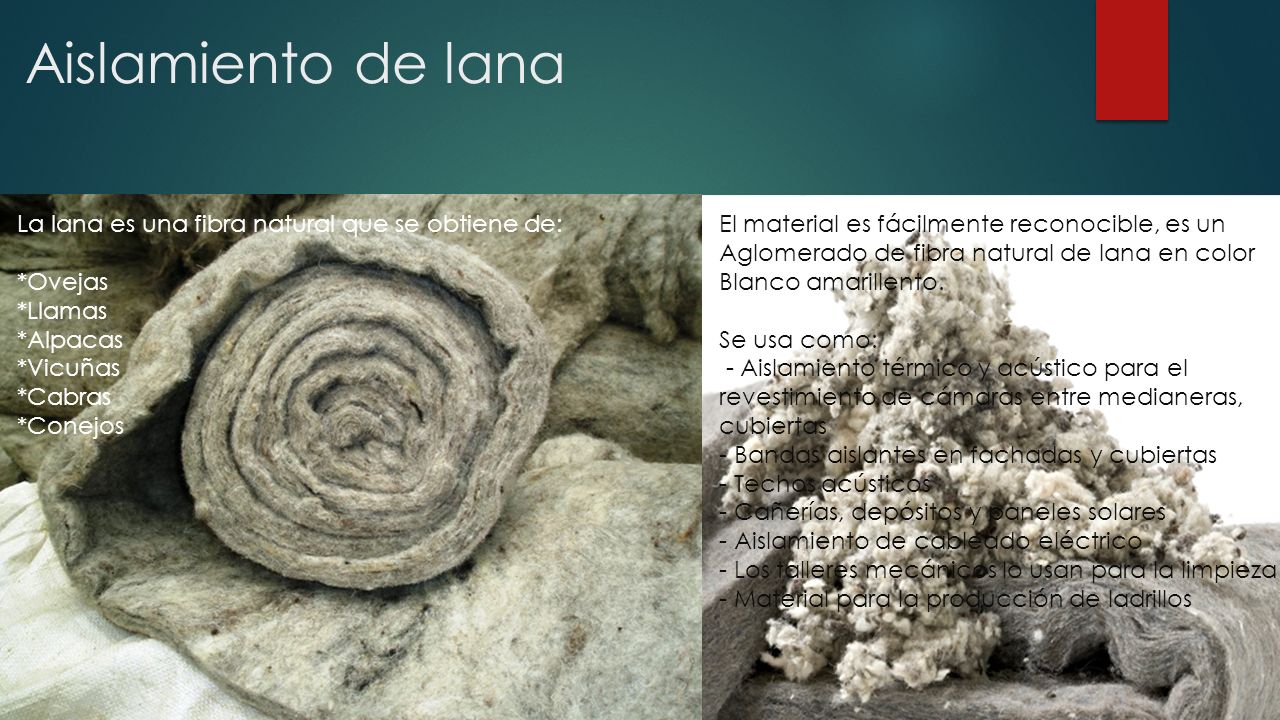 Aislamiento de lana La lana es una fibra natural que se obtiene de:
