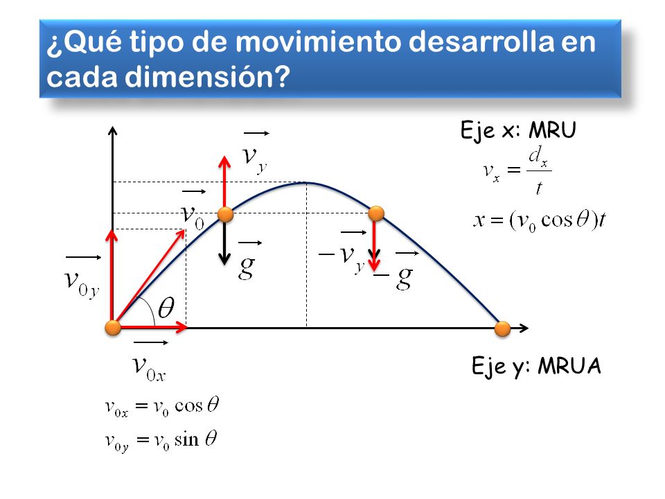 ¿Qué tipo de movimiento desarrolla en cada dimensión