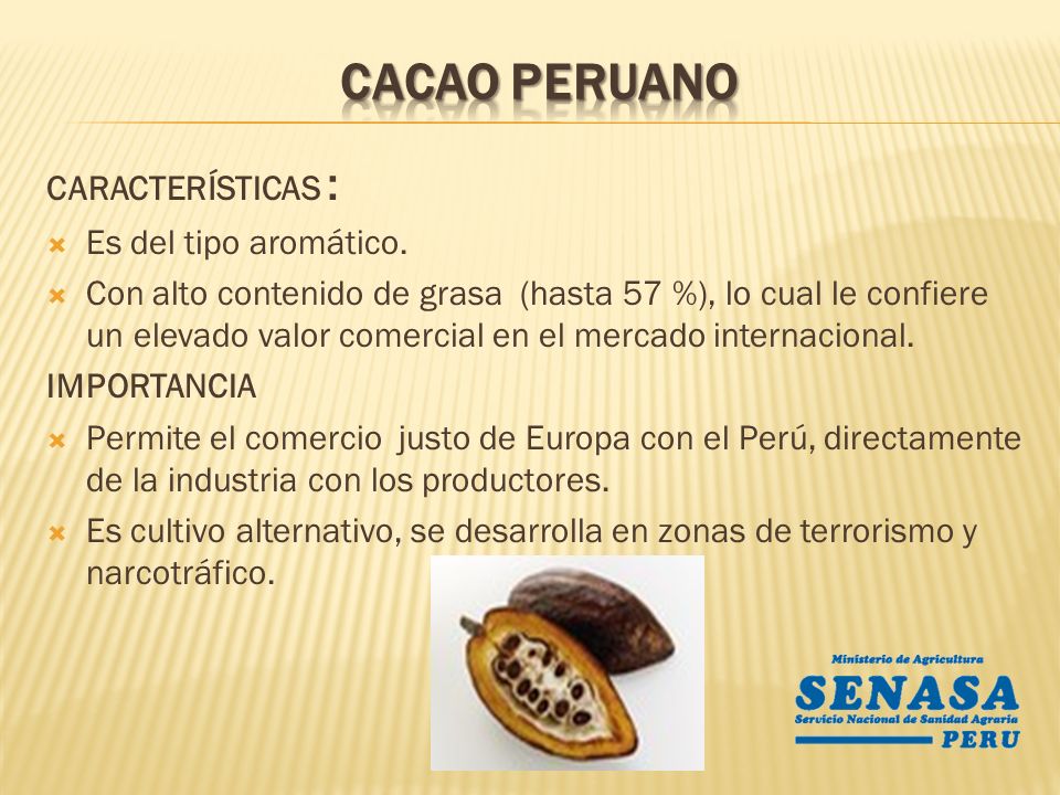 CACAO PERUANO CARACTERÍSTICAS : Es del tipo aromático.