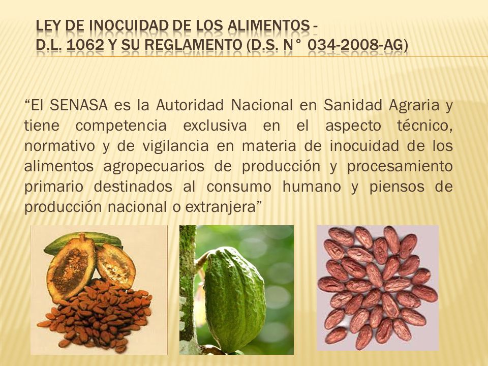 Ley de Inocuidad de los Alimentos - D. L y su Reglamento (D. S