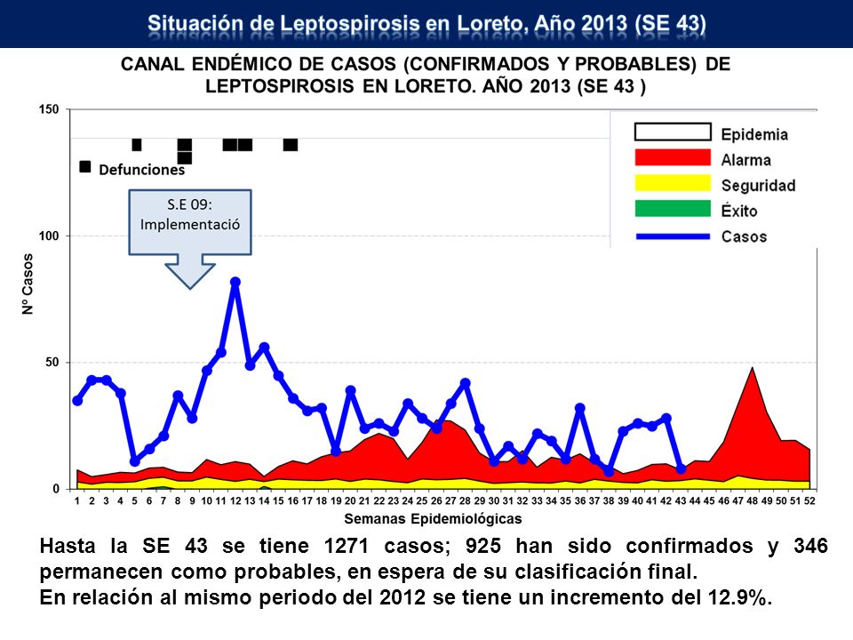 Situación de Leptospirosis en Loreto, Año 2013 (SE 43)