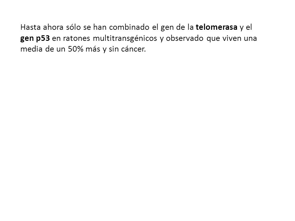 Hasta ahora sólo se han combinado el gen de la telomerasa y el gen p53 en ratones multitransgénicos y observado que viven una media de un 50% más y sin cáncer.