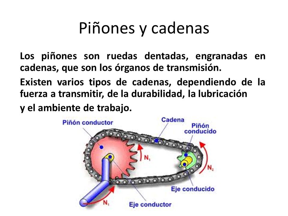 Piñones y cadenas Los piñones son ruedas dentadas, engranadas en cadenas, que son los órganos de transmisión.