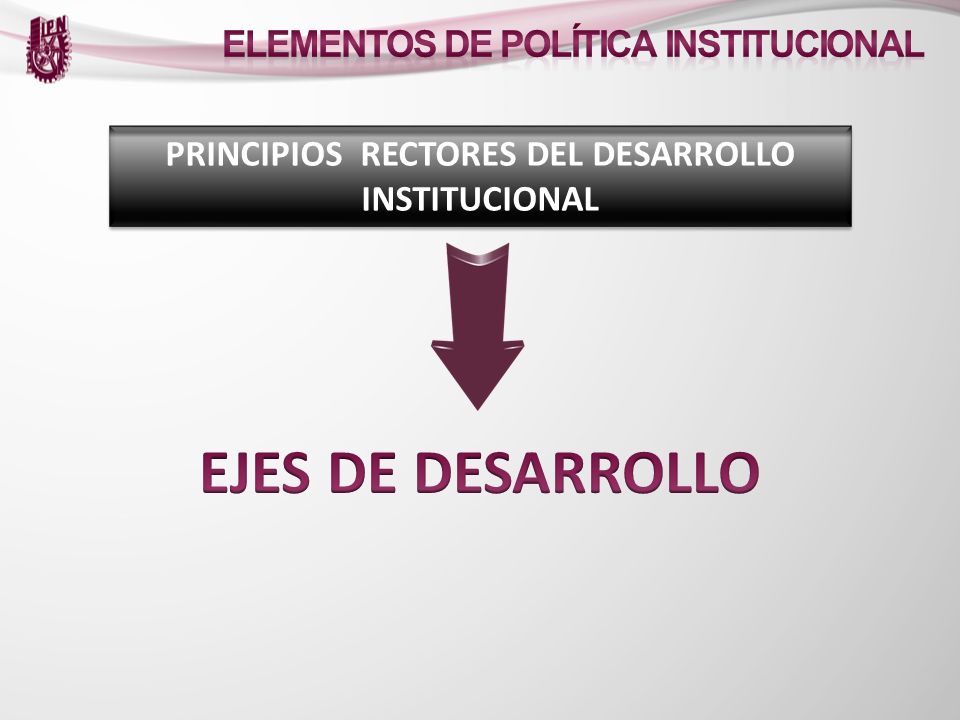 PRINCIPIOS RECTORES DEL DESARROLLO INSTITUCIONAL