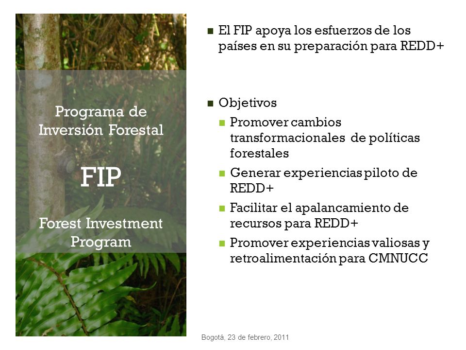 Programa de Inversión Forestal FIP Forest Investment Program