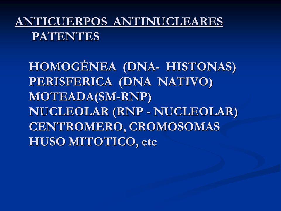 ANTICUERPOS ANTINUCLEARES PATENTES HOMOGÉNEA (DNA- HISTONAS) PERISFERICA (DNA NATIVO) MOTEADA(SM-RNP) NUCLEOLAR (RNP - NUCLEOLAR) CENTROMERO, CROMOSOMAS HUSO MITOTICO, etc