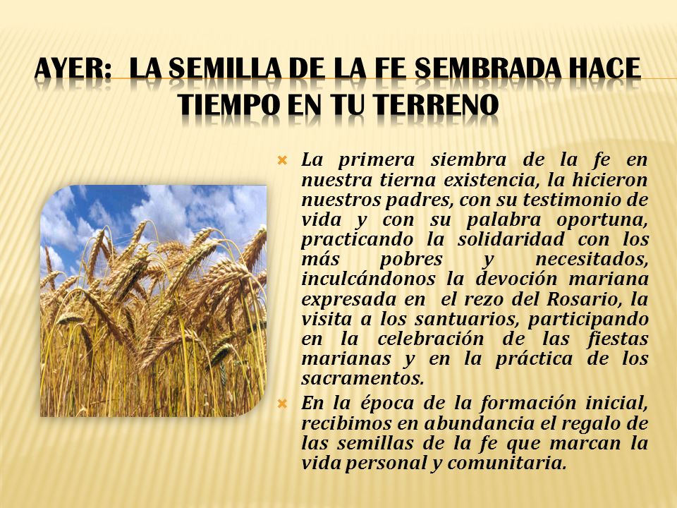 AYER: La semilla de la fe sembrada hace tiempo en tu terreno