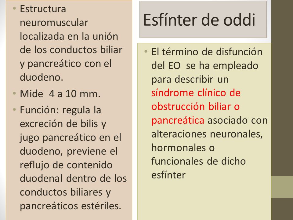Estructura neuromuscular localizada en la unión de los conductos biliar y pancreático con el duodeno.