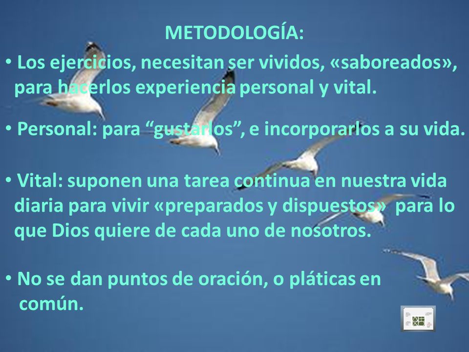 METODOLOGÍA: Los ejercicios, necesitan ser vividos, «saboreados», para hacerlos experiencia personal y vital.