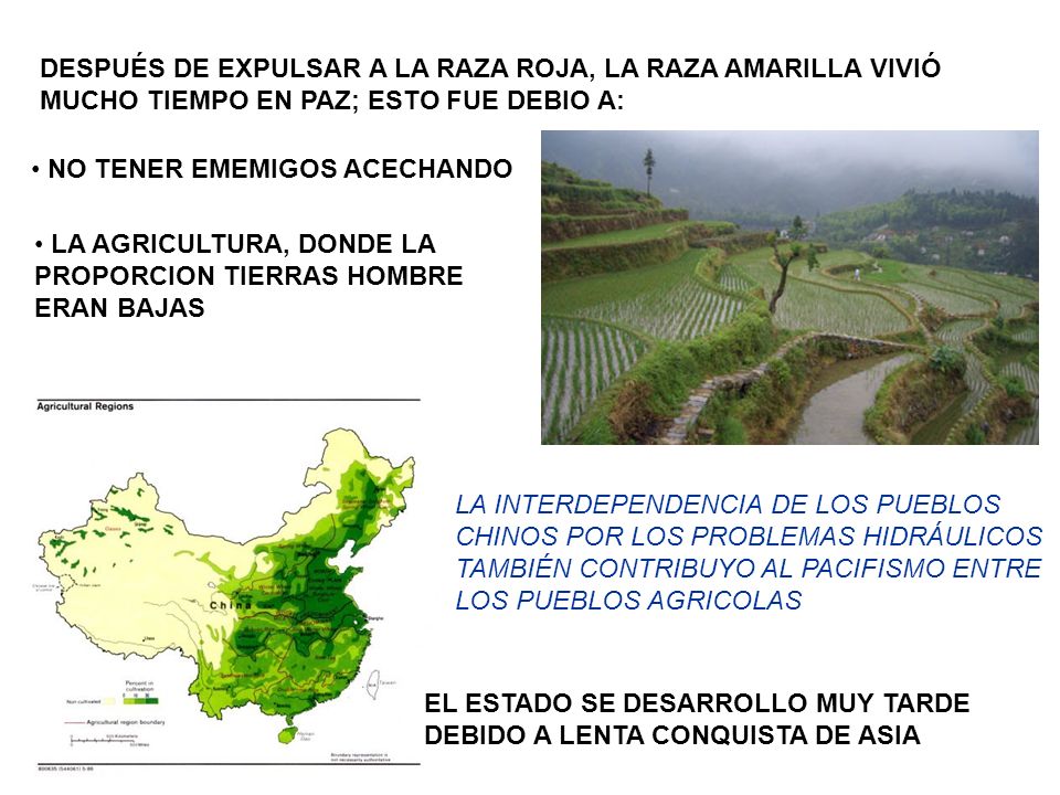 DESPUÉS DE EXPULSAR A LA RAZA ROJA, LA RAZA AMARILLA VIVIÓ