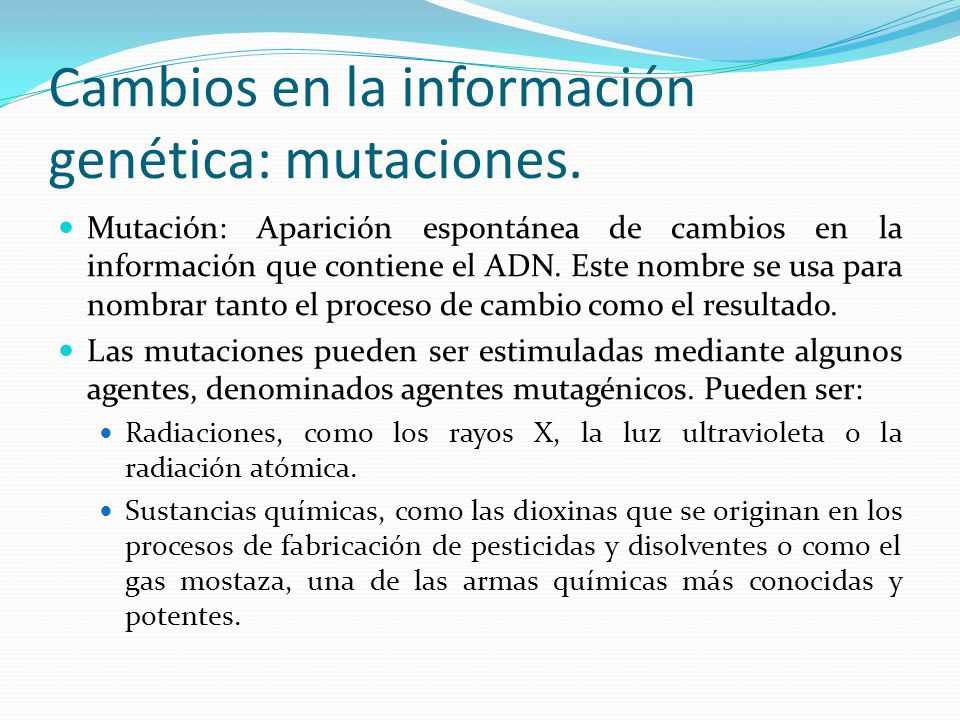 Cambios en la información genética: mutaciones.