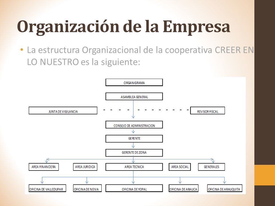 Organización de la Empresa