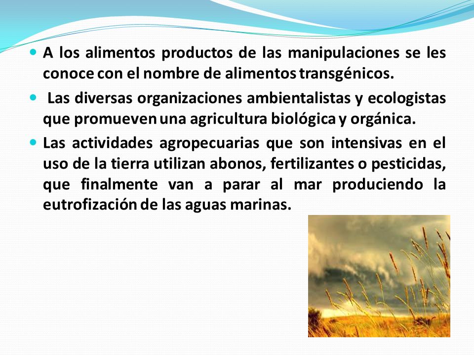 A los alimentos productos de las manipulaciones se les conoce con el nombre de alimentos transgénicos.