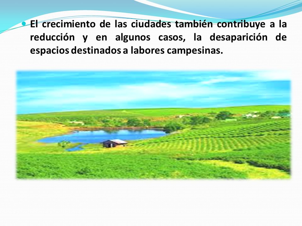 El crecimiento de las ciudades también contribuye a la reducción y en algunos casos, la desaparición de espacios destinados a labores campesinas.