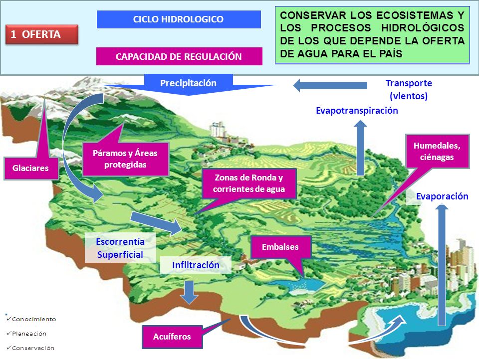CONSERVAR LOS ECOSISTEMAS Y LOS PROCESOS HIDROLÓGICOS DE LOS QUE DEPENDE LA OFERTA DE AGUA PARA EL PAÍS