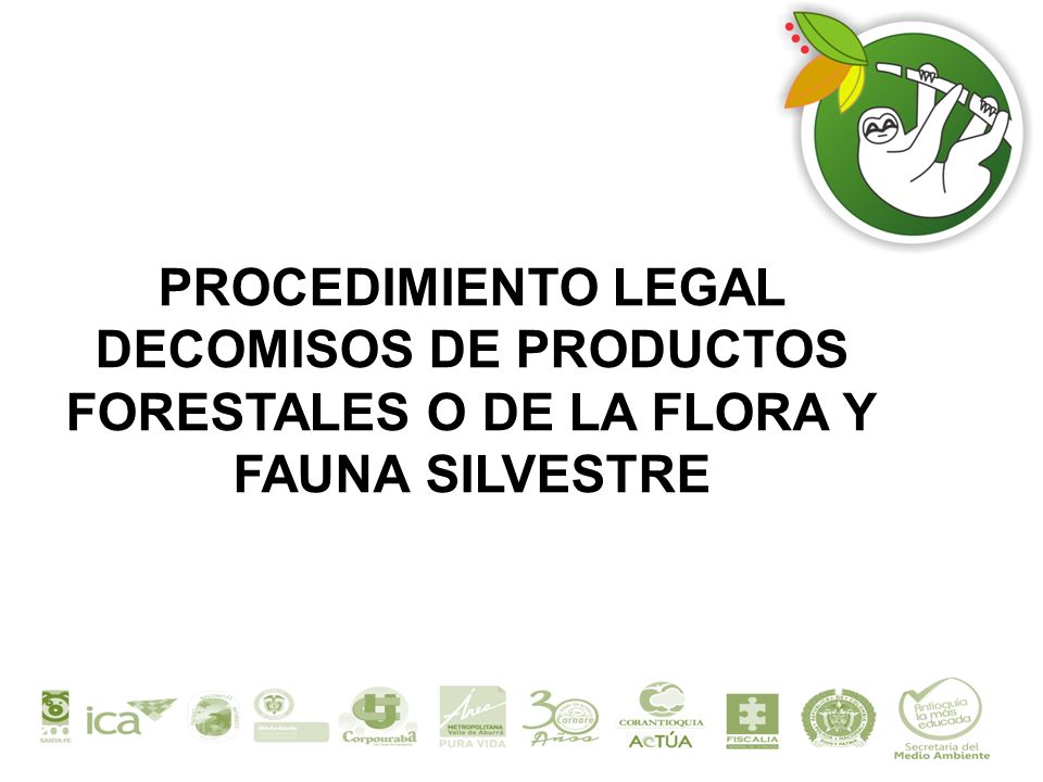 PROCEDIMIENTO LEGAL DECOMISOS DE PRODUCTOS FORESTALES O DE LA FLORA Y FAUNA SILVESTRE