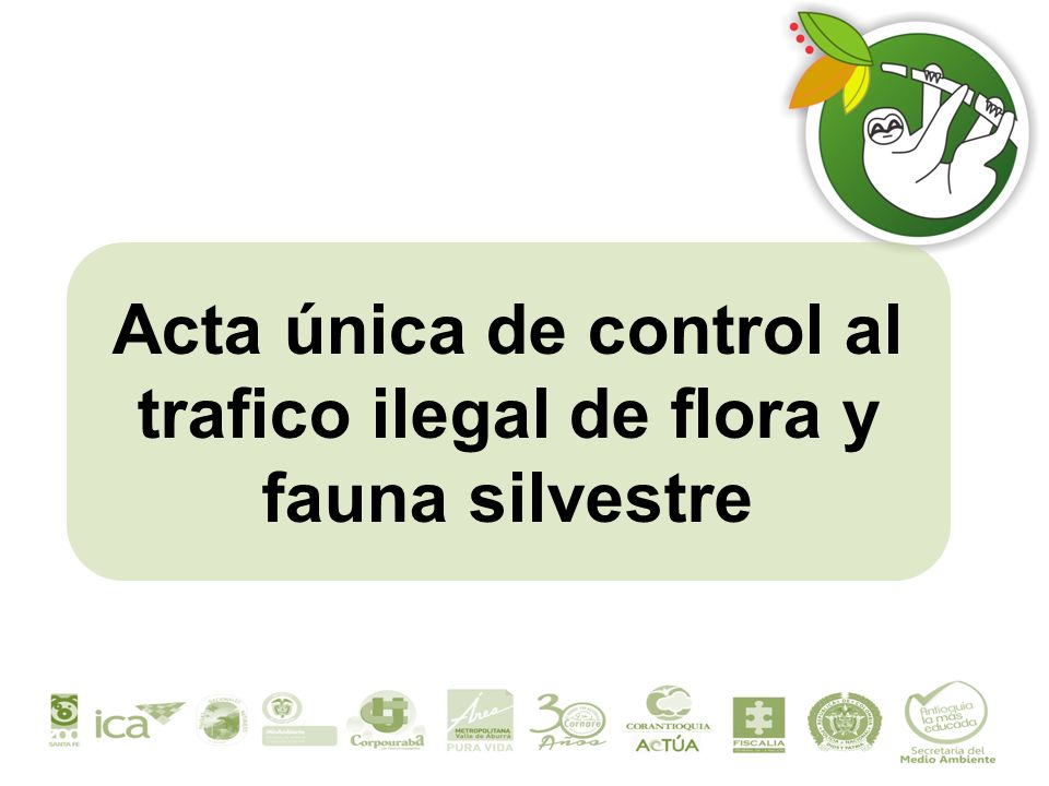 Acta única de control al trafico ilegal de flora y fauna silvestre