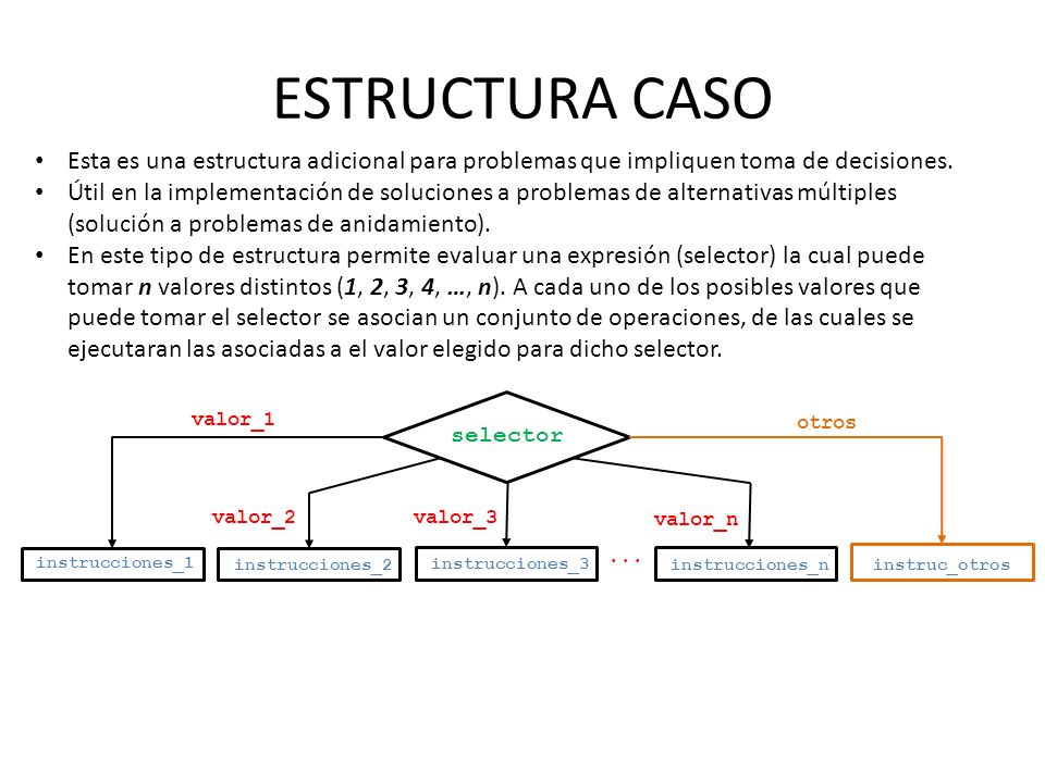 ESTRUCTURA CASO Esta es una estructura adicional para problemas que impliquen toma de decisiones.