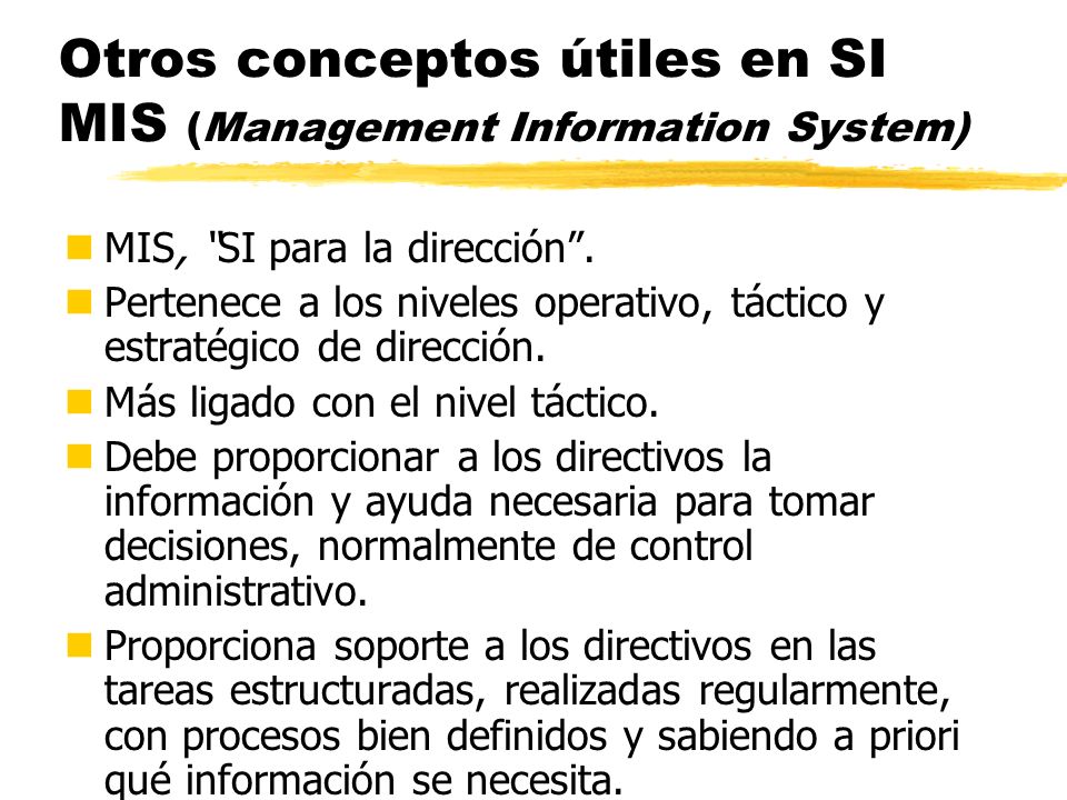Otros conceptos útiles en SI MIS (Management Information System)