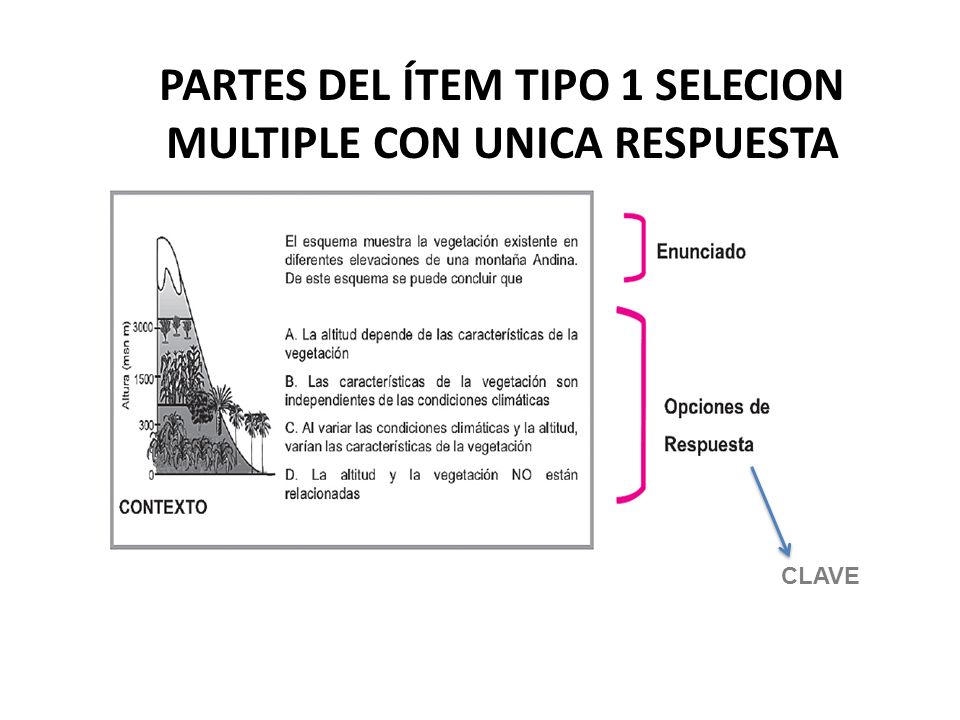 Partes del Ítem TIPO 1 SELECION MULTIPLE CON UNICA RESPUESTA
