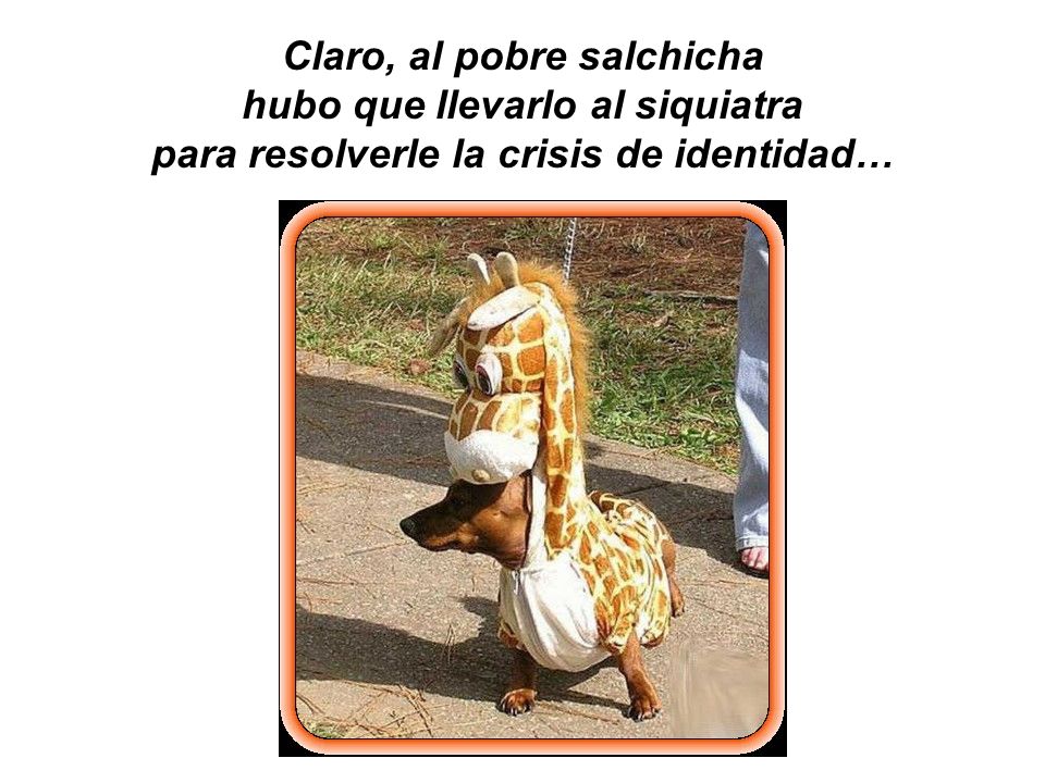 Claro, al pobre salchicha hubo que llevarlo al siquiatra para resolverle la crisis de identidad…
