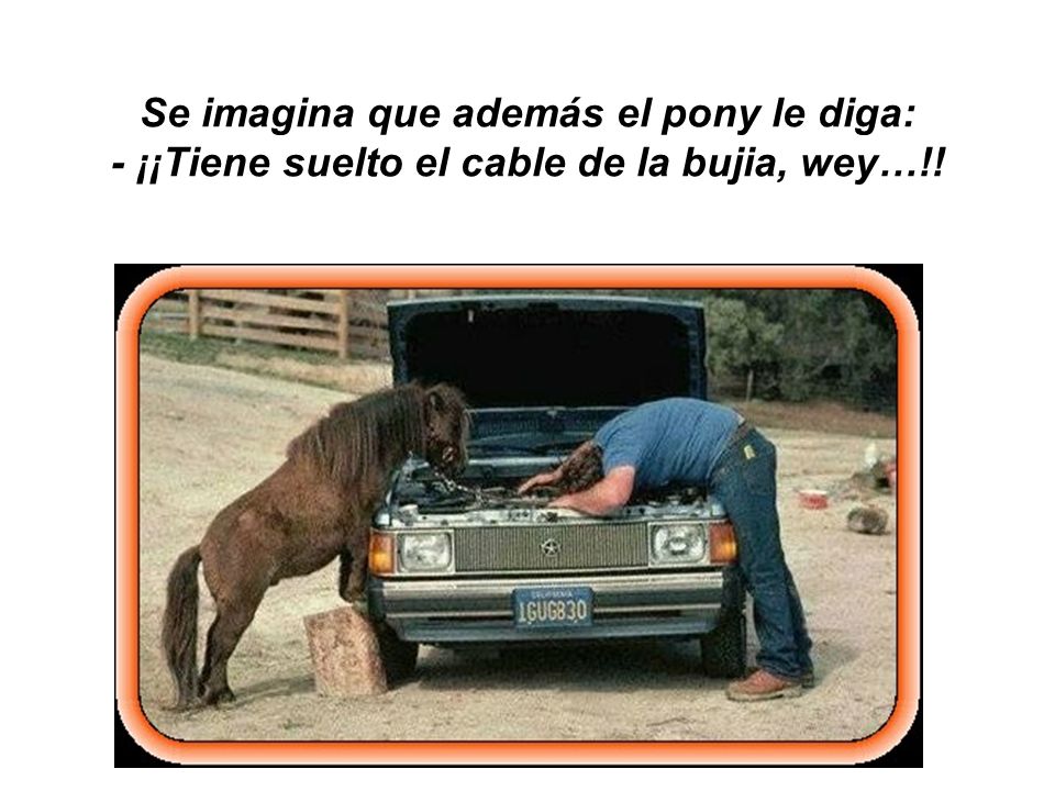 Se imagina que además el pony le diga: - ¡¡Tiene suelto el cable de la bujia, wey…!!