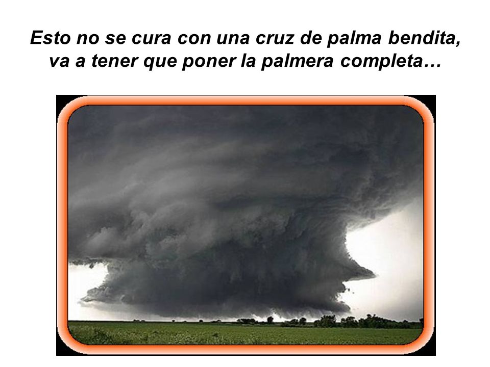 Esto no se cura con una cruz de palma bendita, va a tener que poner la palmera completa…