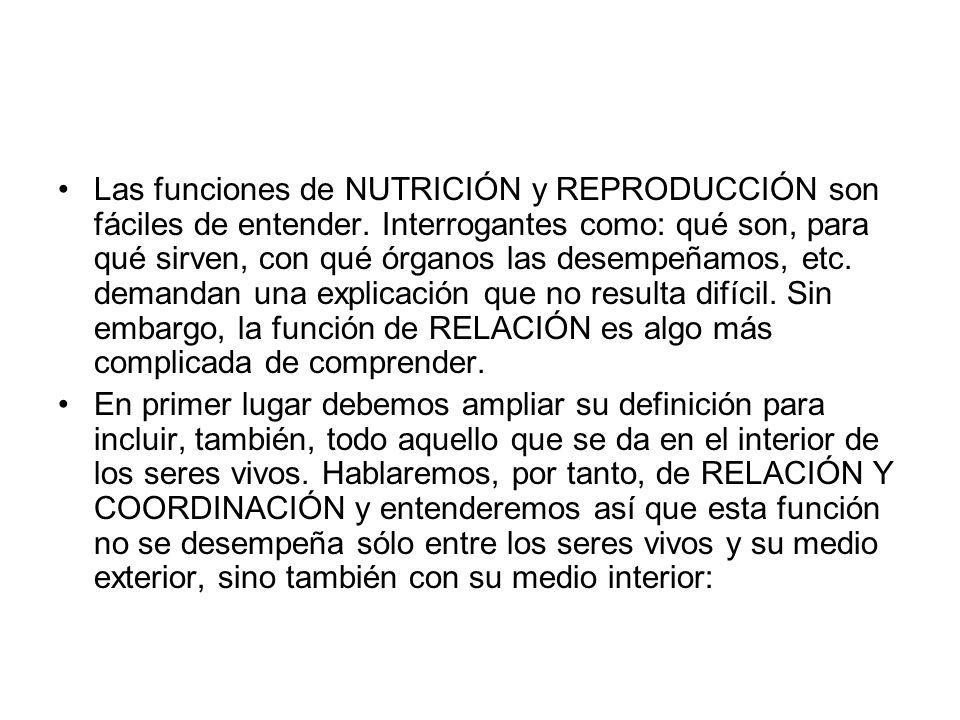 Las funciones de NUTRICIÓN y REPRODUCCIÓN son fáciles de entender