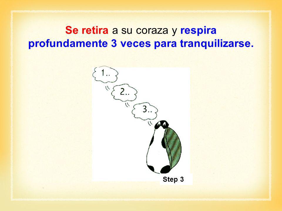 Se retira a su coraza y respira profundamente 3 veces para tranquilizarse.