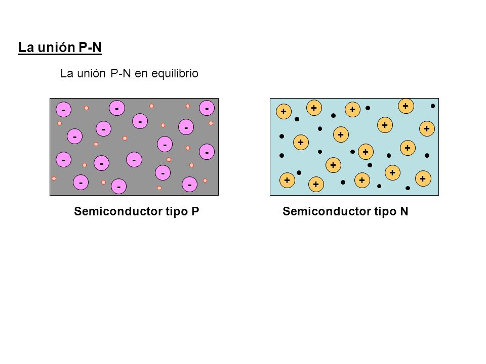 La unión P-N La unión P-N en equilibrio Semiconductor tipo P