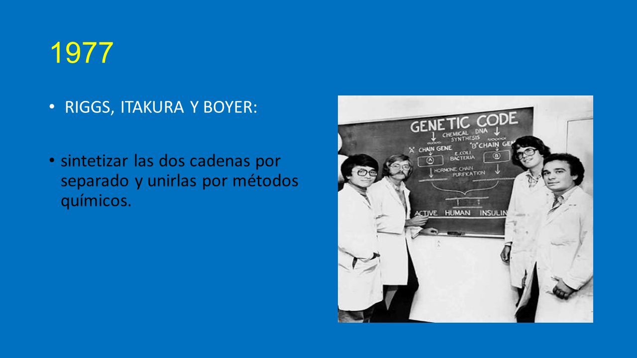 1977 RIGGS, ITAKURA Y BOYER: sintetizar las dos cadenas por separado y unirlas por métodos químicos.