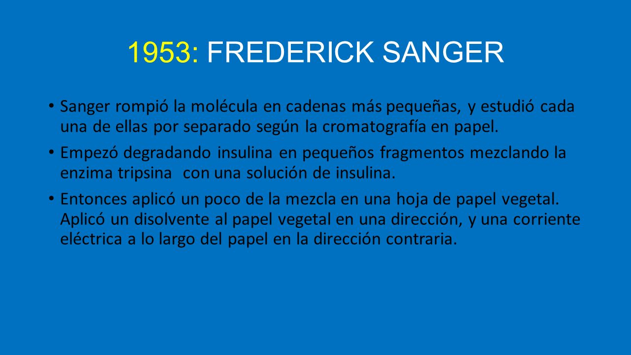 1953: FREDERICK SANGER Sanger rompió la molécula en cadenas más pequeñas, y estudió cada una de ellas por separado según la cromatografía en papel.